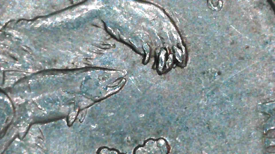  2008-P Alaska State Quarter Claw Die Chip Error  MULTIPLE ERRORS Drool Error - Image 4 of 4