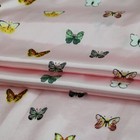 Foto 10 di 13