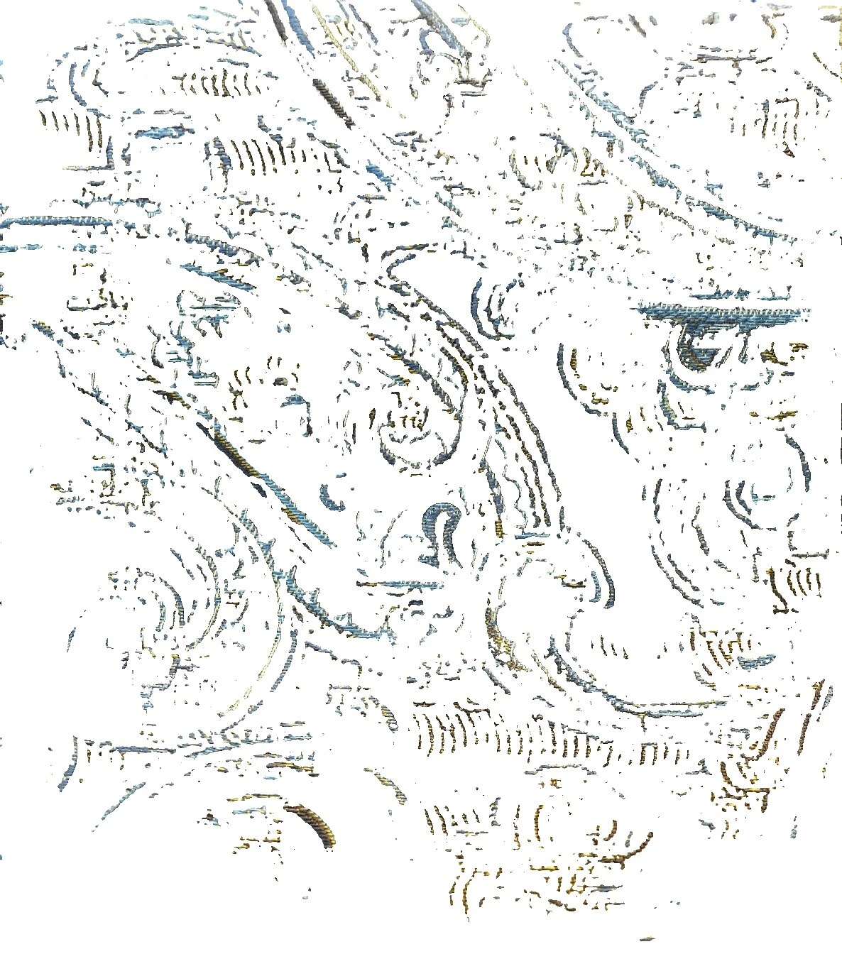 Géneros artesanales de acolchado Paisley Chenille