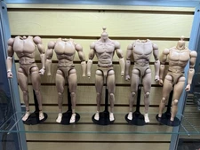 Hot Toys - Male Body Lot Of 5 - 1/6 Scale Read Desc - Joe Colton/Captain America