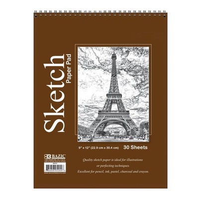BAZIC PRODUCTS 9 x 12 30 Sheets Count Multicolor Inch Standard Functional