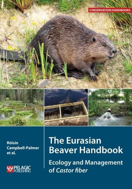 The Eurasian Beaver Handbook by Derek Gow (Paperback Book)
