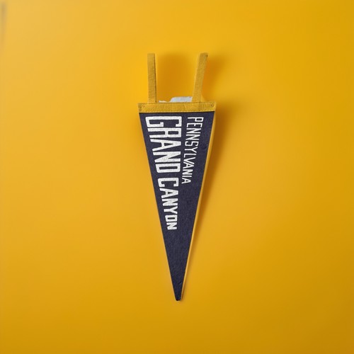 Vtg Pennsylvania Grand Canyon Felt Pennant Pine Creek Gorge Travel Survival - Picture 4 of 6