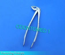  3 Extracting Forceps # 33 English Pattern Dental INSTRUMENTS 