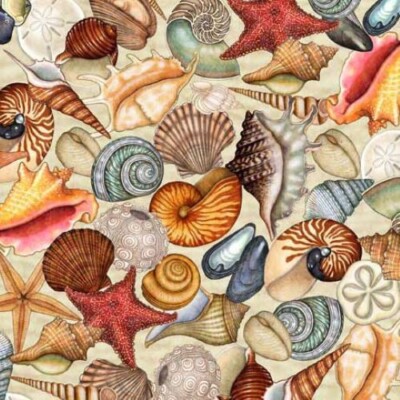Endless Blues 1/2 Yard Increments (30045-E Seashells Cream) QT Fabrics