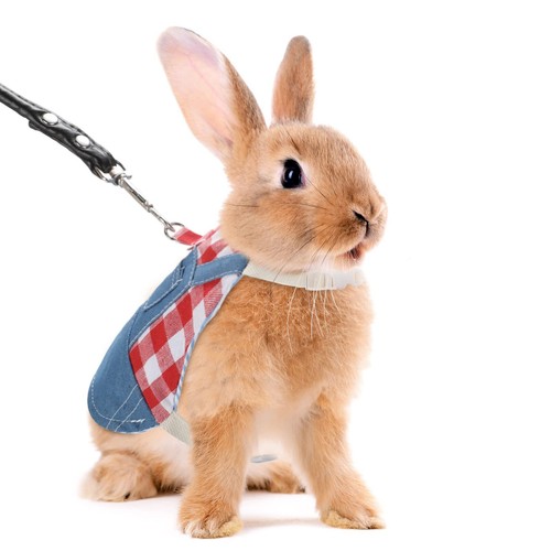 Small Red Rabbit Harness and Leash Set for Bunny Kitten Puppy Walking - Picture 3 of 6
