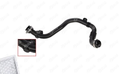 Luftfilterschlauch für Renault Modus Renault Clio III 1.5 dCi 8200527669