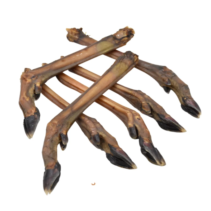 Deer legs sales
