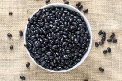 Schwarze Bohnen aus Tolosa - Beans 10+ Samen - Seed - Graines - H 125