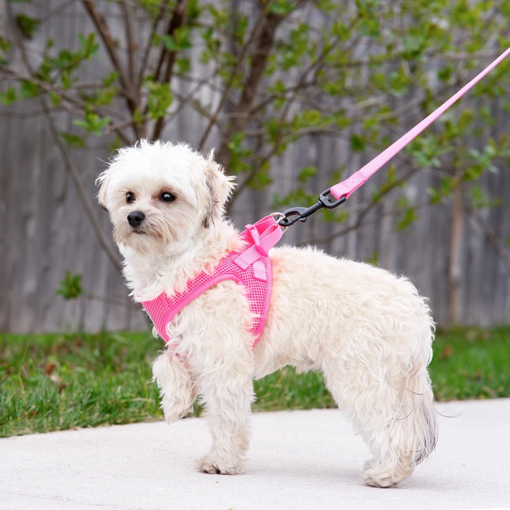 Dog Harness, Mesh Adjustable, Reflective Dog Walking Pet Harness, Pink Dog Harness, Mesh Adjustable, Reflective Dog Walking Pet Harness, Pink