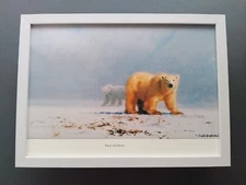 David Shepherd print 'The Cold Arctic' Polar Bears FRAMED