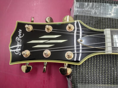 GRASSROOTS G-LP-50C Electric Guitar | eBay