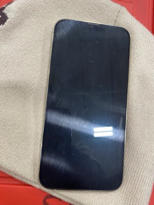iPhone 13 Pro Max Unlocked With TikTok Installed 