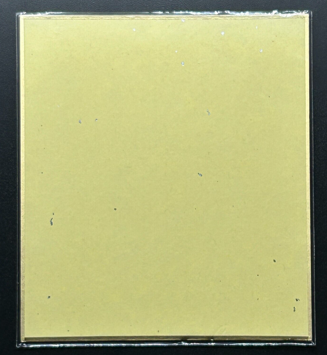 Greninja Pokemon Shikishi Art Board Card No.9 Nintendo BANDAI MADE