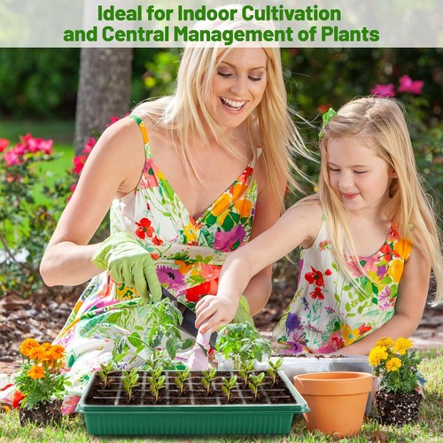 2x Zimmergewächshaus Anzuchtkasten Mini Gewächshaus Anzucht Set Setzling 80 NEU - Bild 10 von 15