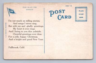 Fallbrook California ''Jolly Happy Christmas'' Antique Postcard Catalina Island