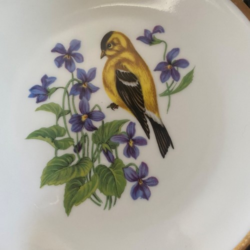 Vintage Bavarian Schumann Arzberg Germany American Goldfinch w/Larkspur Flowers - Picture 12 of 15