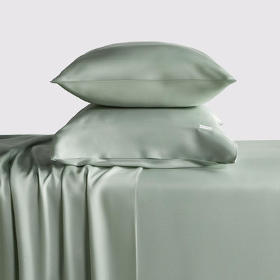 Ultra Soft 100% Tencel Lyocell Queen Bed Sheet Set - Mint Green