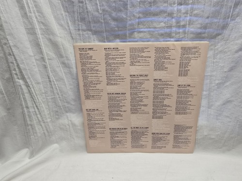 Don Henley Building The Perfect Beast Vinyl Record LP - Foto 4 di 6