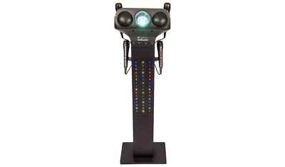 Bluetooth Easy Karaoke Maschine Stand Profi Lautsprecher EKS828BT 9528411