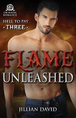 Flame Unleashed By Jillian David - New Copy - 9781440589492