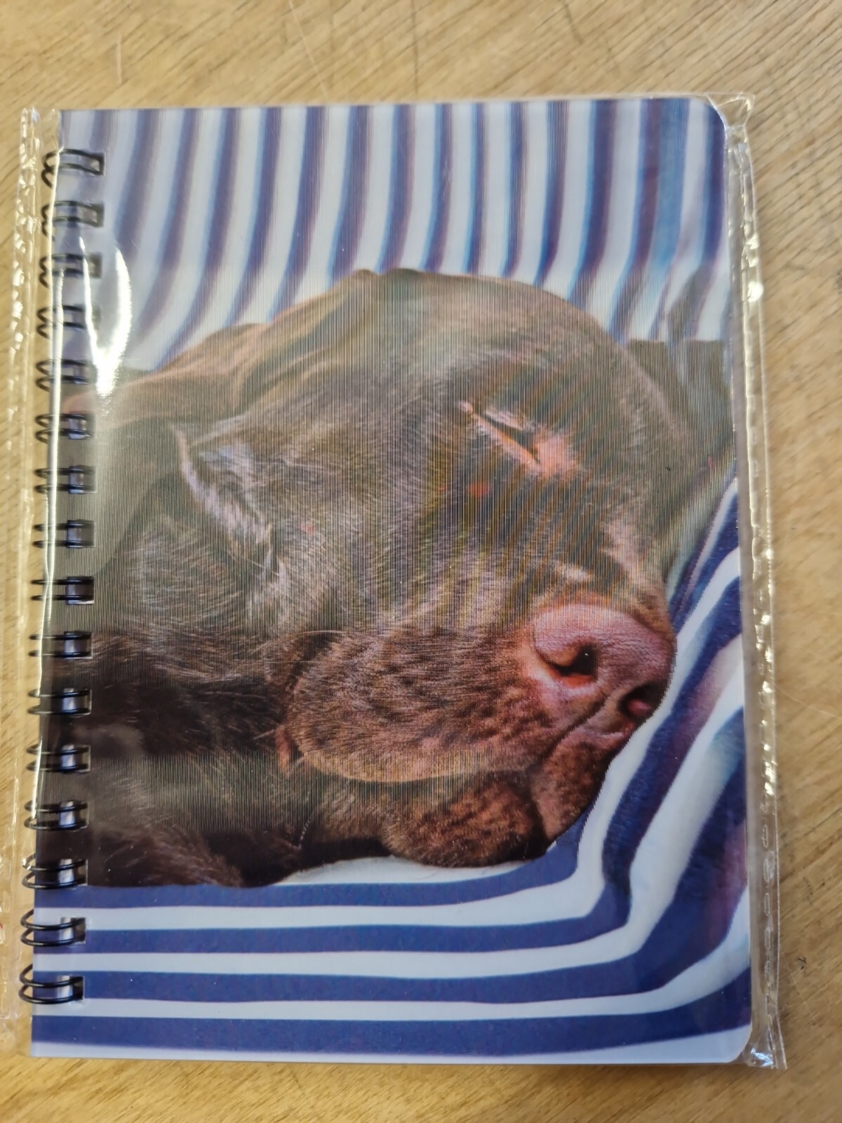 Chocolate Labrador notebook choc lab Labradors Notebooks Dog Notepad Dogs labs