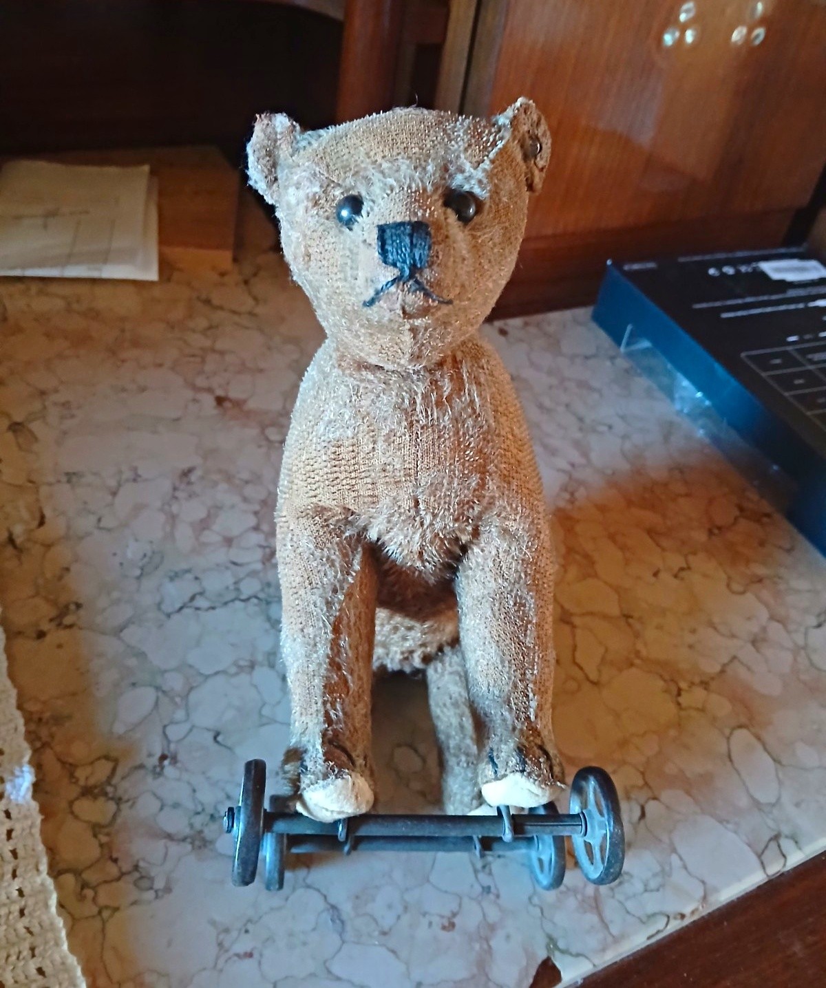 Original Steiff Teddy Teddybär auf Rädern Ca. 1910-15  Schuhknopfaugen Knopf