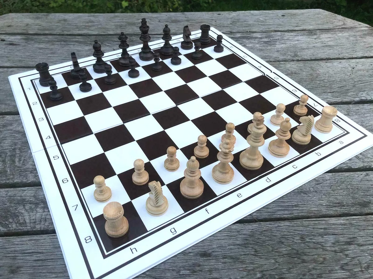 Schach spielen für Anfänger (Kaiser) - Schachgeflüster