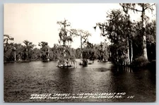FL, near Tallahassee, Wakulla Springs, Real Photo, RPPC, Vintage Postcard