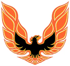 Trans Am Eagle Orange Decal   ~  Vinyl Car Wall Sticker - Small to XLarge