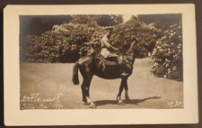 RPPC Real Photo Postcard Military Major Posing on Beautiful Horse Frank Lenart