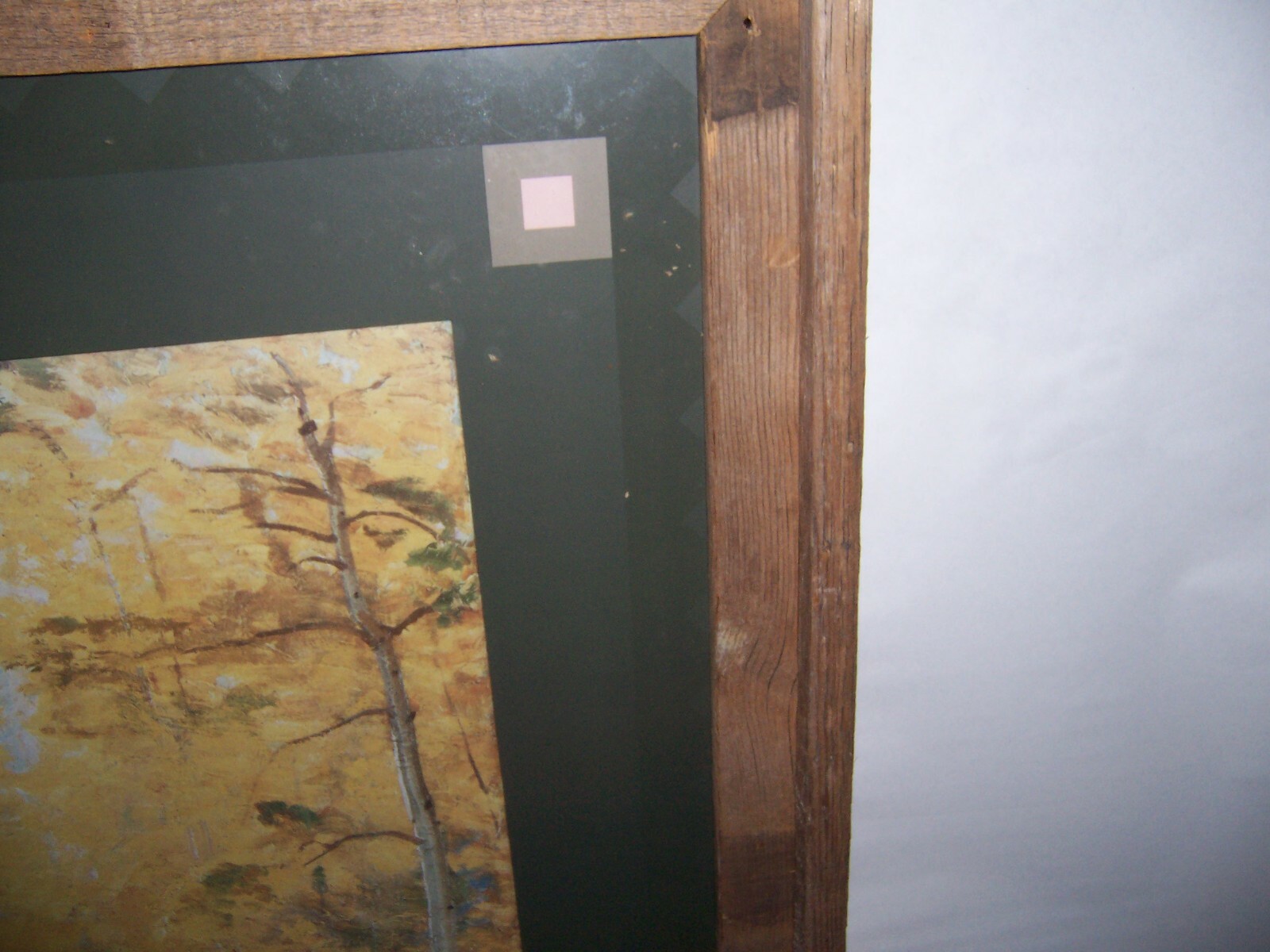 Picture 5 of 12