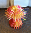 Picture 4 of 4