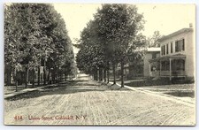 1910's Union Street Cobleskill New York Lined-Trees In Home Road Posted Postcard