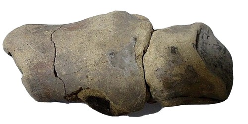 Figura Cultura Valdiviana Precolombina "Venus de Valdivia" ORIGINAL - Imagen 6 de 8