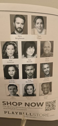 Schmigadoon! Opening Night 4/20/26 Playbill MINT Not Read or Opened - 第 2/6 張圖片