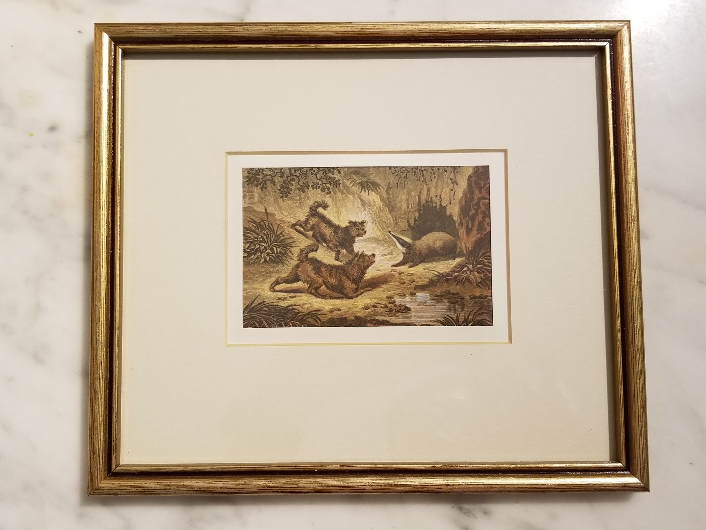 Picture 1 of 5