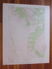 Ramshorn Canyon Idaho 1973 Original Vintage USGS Topo Map