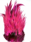 Bild 7 von 10