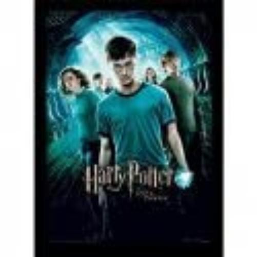 Pyramid International Harry Potter Order Of The Phoenix Framed Print Memorabil 11490₽