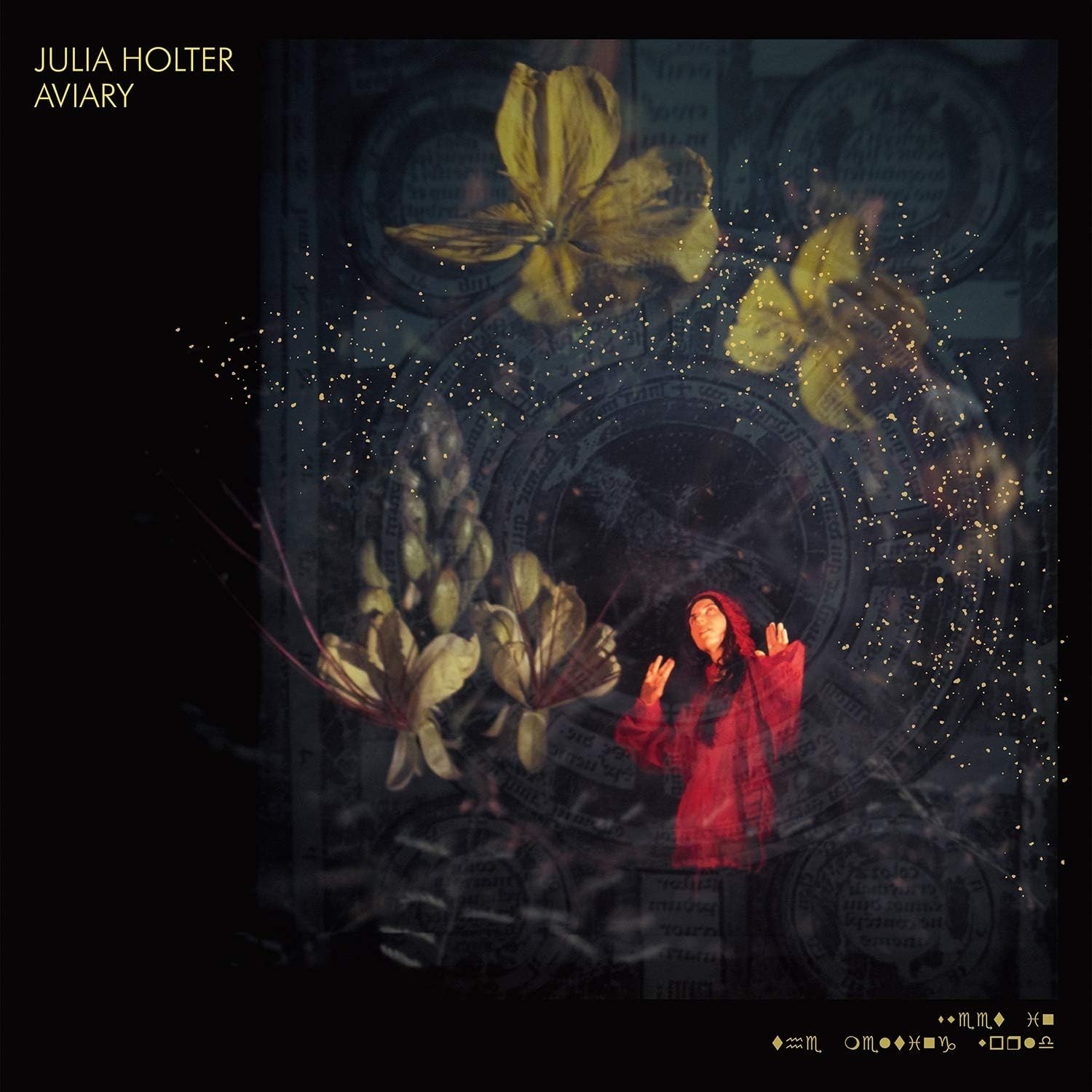 Julia Holter / Aviary *NEW CD*