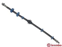 Brembo Bremsschlauch Links, Rechts, Vorderachse U.A. FüR Alfa Romeo, Fiat