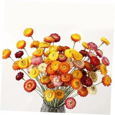 24 Pcs Natural Dried Straw Flowers Daisy, Orange Dried Flowers Arrangements