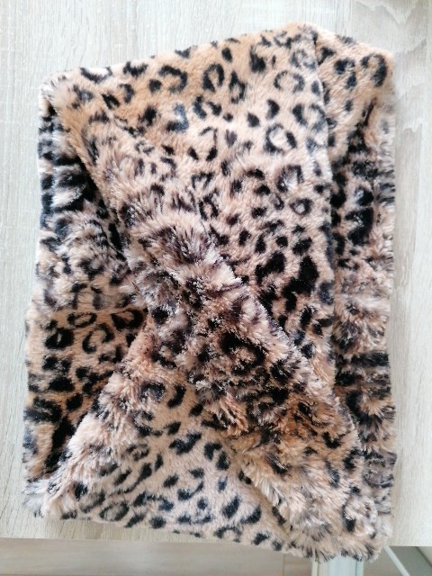 Bild 1 von 3