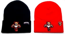 2 FOR 10.95! Florida Panthers flat appliques on 2 beanie  cap hat. See details