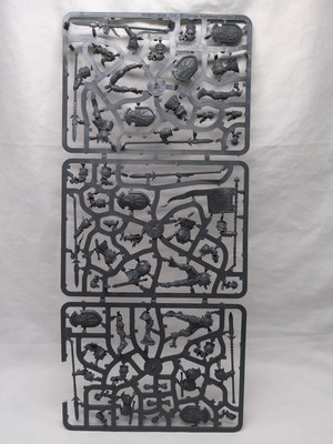 Warhammer Age Of Sigmar Dominion Sprue