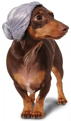 Granny Old Lady Grey Halloween Pet Dog Costume Rubies Pet Shop S/M (DGT100)
