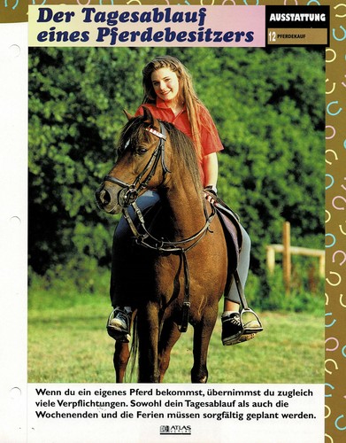 The Rider's Gear (4) - Info Cards - Picture 3 of 5