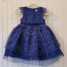 Janie and Jack Moonlight Garden Shimmer Tulle Dress Girls Size 18-24 Months