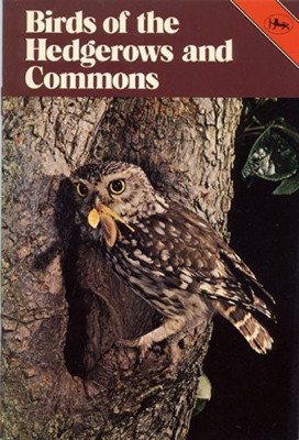 Birds of the Hedgerows and Commons - R. Jones